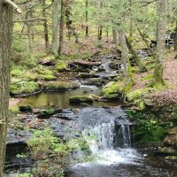 Devil’s Hopyard State Park Campground ico