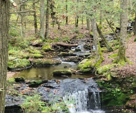 Devil’s Hopyard State Park Campground