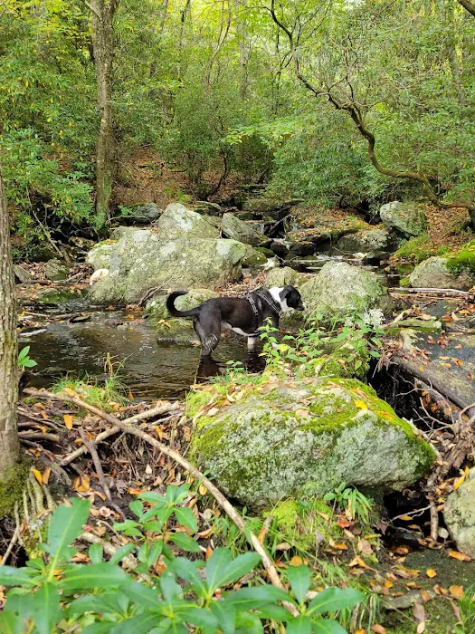 Devil’s Hopyard State Park Campground Picture 3
