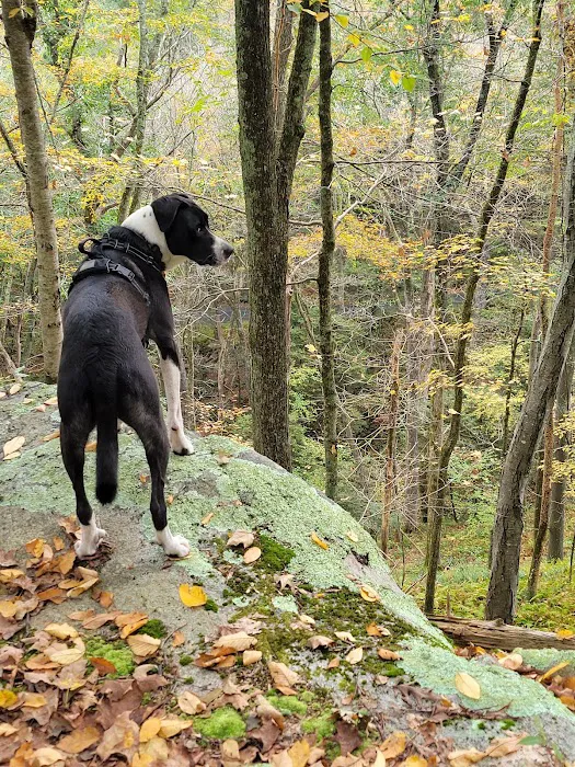 Devil’s Hopyard State Park Campground Picture 6
