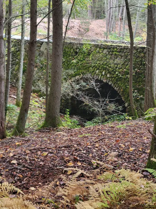 Devil’s Hopyard State Park Campground Picture 5