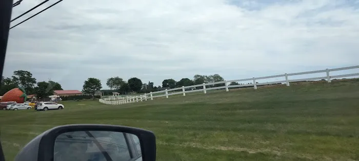 Village of Greenport Mccann Picture 1