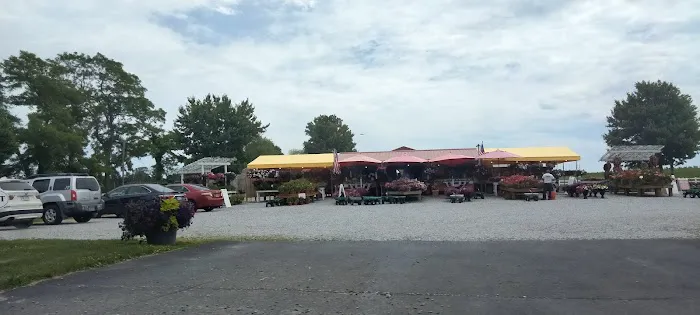 Village of Greenport Mccann Picture 2