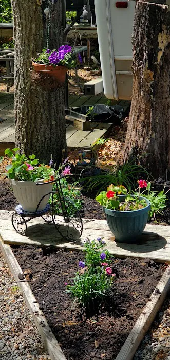 The Island Campground and Cottages Picture 7