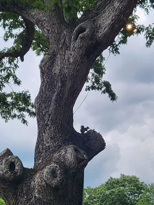 Witch Meadow Lake Campground Picture 6