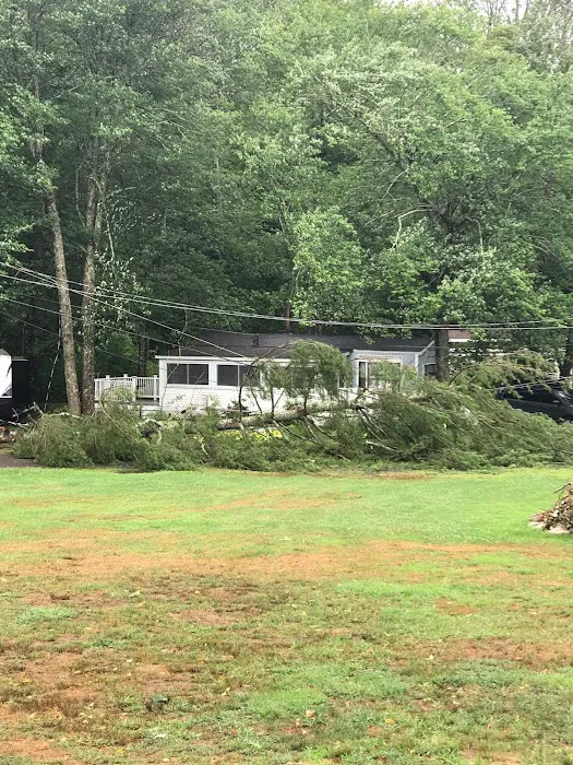 Lake Williams Campground Association, Inc. Picture 10