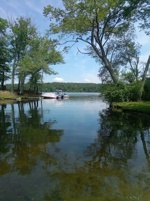 Lake Williams Campground Association, Inc. Picture 6