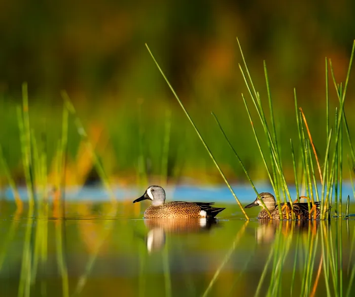 The Tranquil Tipi Picture 6