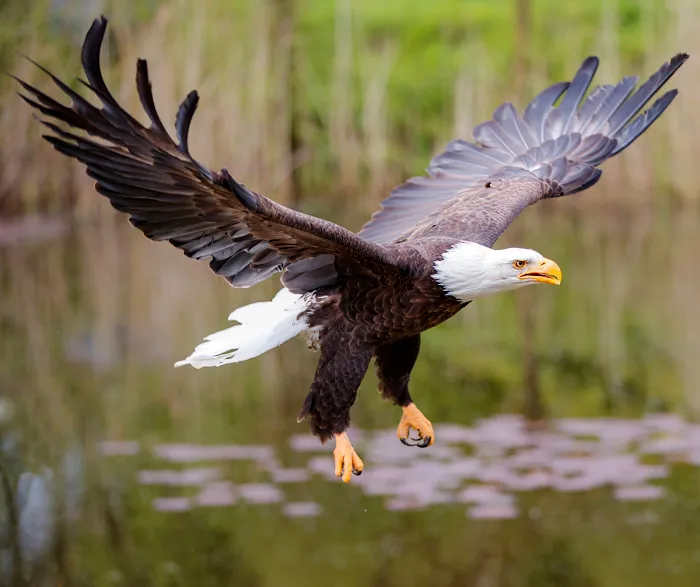 The Tranquil Tipi Picture 10