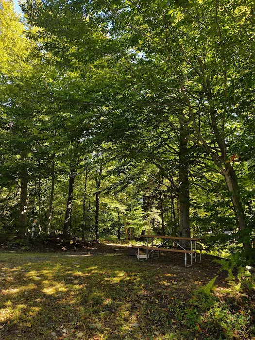 Autumn Moon Campground Picture 5