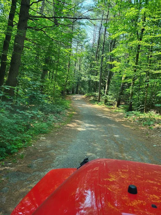 Whispering Pines Campsites & RV Park Picture 9