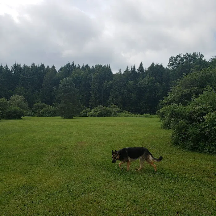 Spruce Creek Campground Picture 4