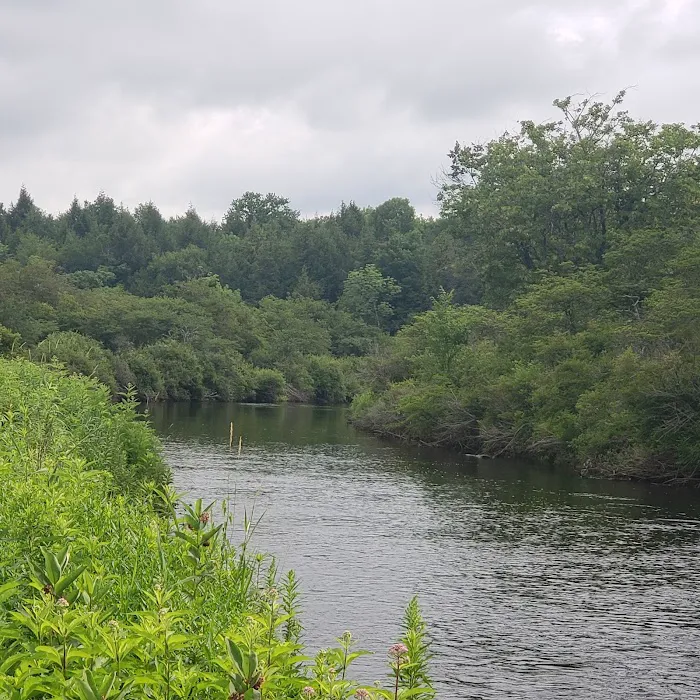 Spruce Creek Campground Picture 6