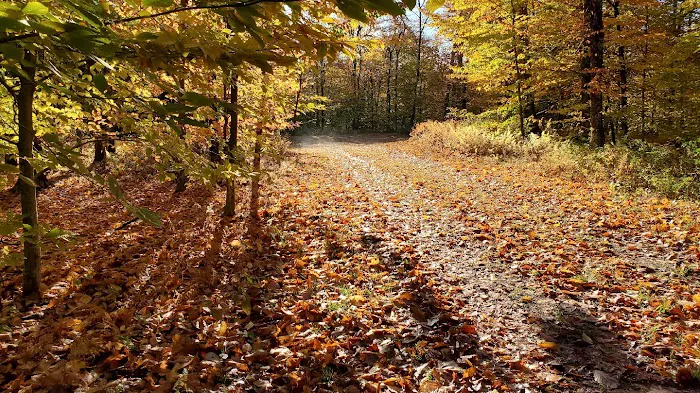 Chapendo Acres Adirondack Camping Picture 1
