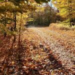 Chapendo Acres Adirondack Camping