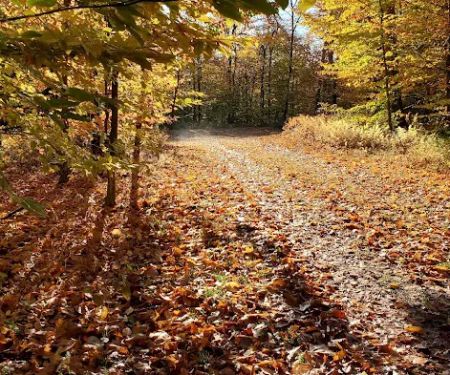 Chapendo Acres Adirondack Camping