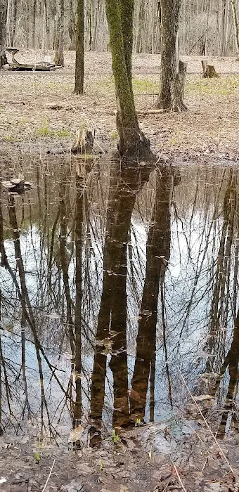 Adirondack Lakeside RV Park Picture 7