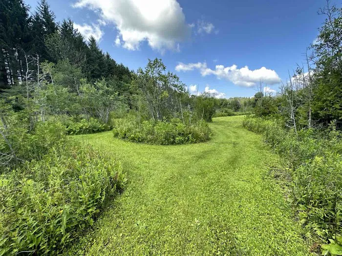 Moomin Valley Campground Picture 3