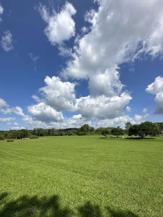 Moomin Valley Campground Picture 2