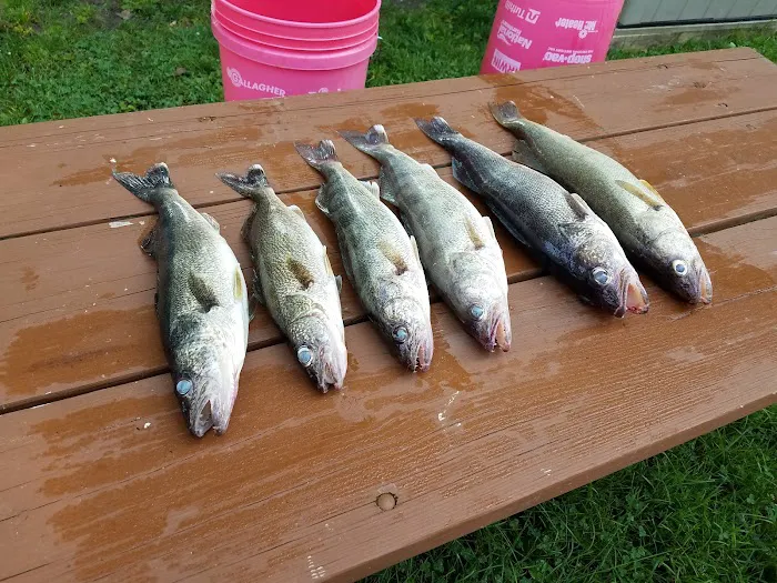 Lone Pine Campgrounds Picture 2