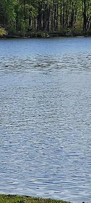 Paradise Cove Campground Picture 5