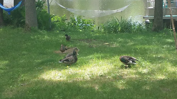 Paradise Cove Campground Picture 2