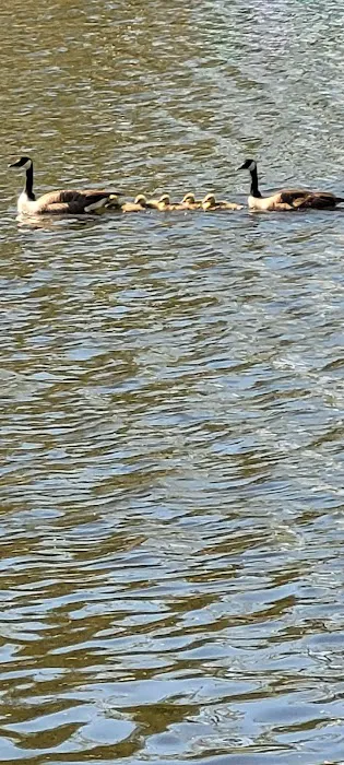 Paradise Cove Campground Picture 10