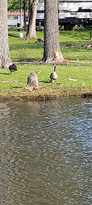 Paradise Cove Campground Picture 9