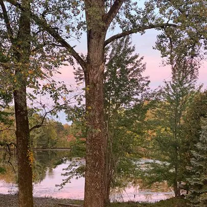 The Landing Campground Picture 4