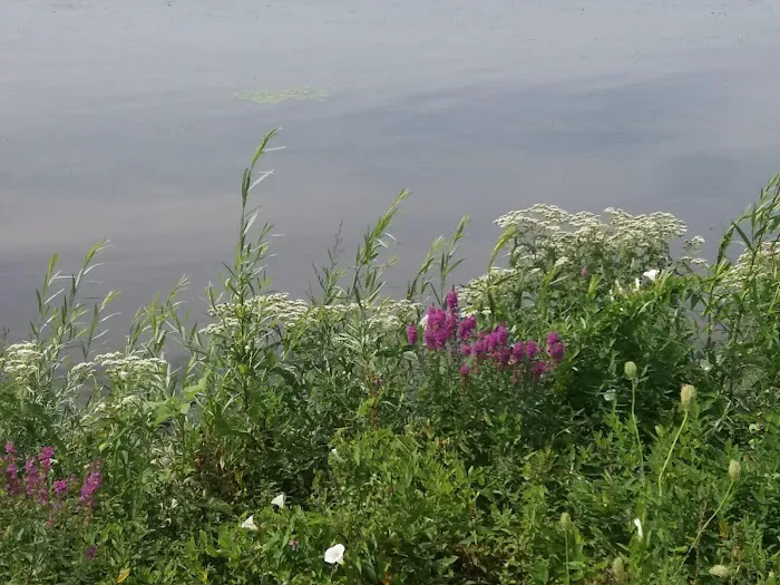 Edgewater Seasonal Campground Picture 10