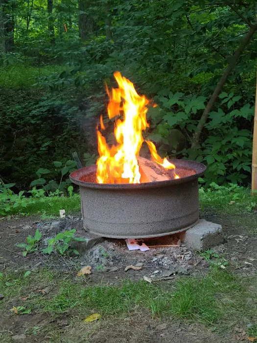 Time Out Family Campground Picture 8