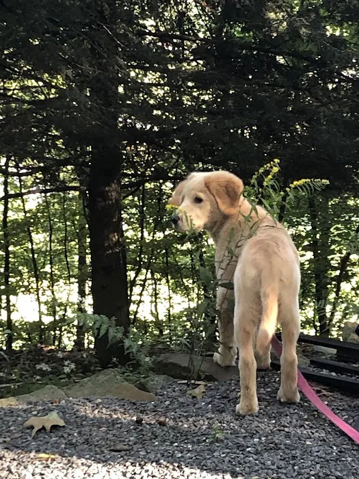 Irish Valley Campground Picture 4