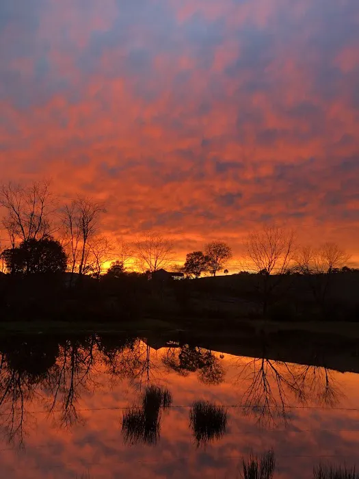 Irish Valley Campground Picture 3