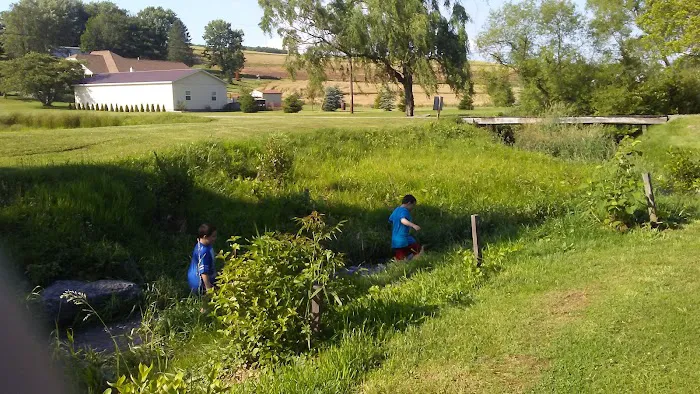 Irish Valley Campground Picture 2