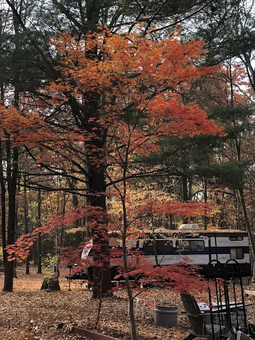 Irish Valley Campground Picture 5