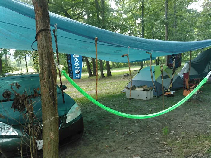 Hookie's Grove Picture 3