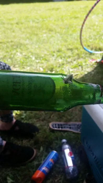 Hookie's Grove Picture 9