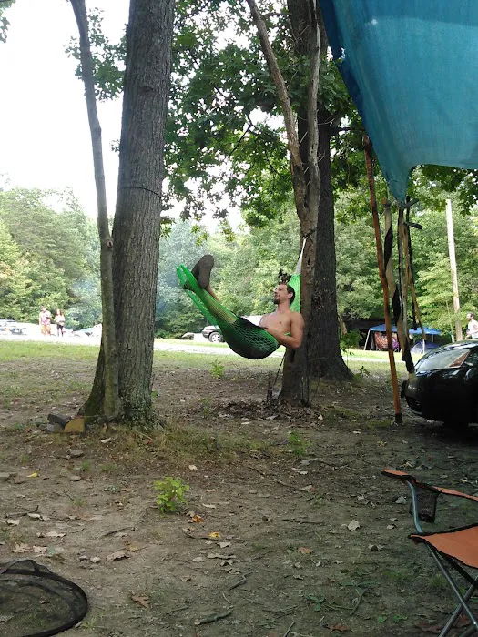 Hookie's Grove Picture 8