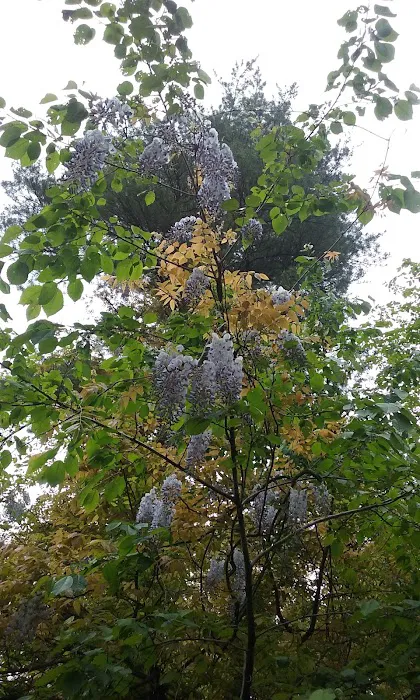 Hookie's Grove Picture 5