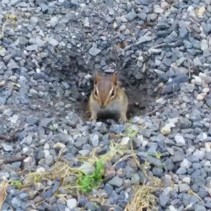 River Edge RV Camp & Marina Picture 6