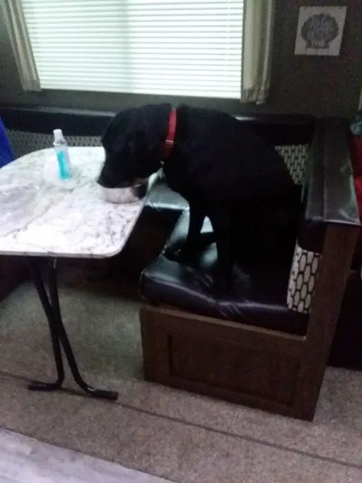 River beach campgrounds Picture 6