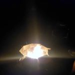 River beach campgrounds