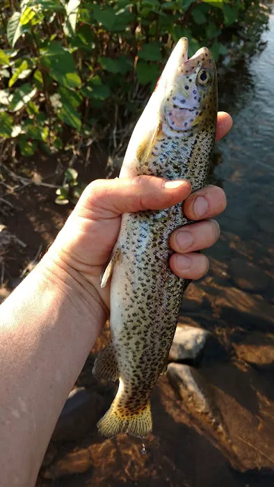 Hughesville Camp Picture 1