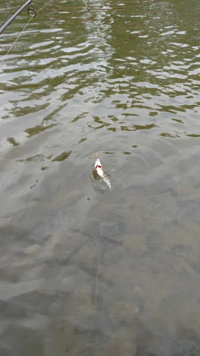 Hughesville Camp Picture 3