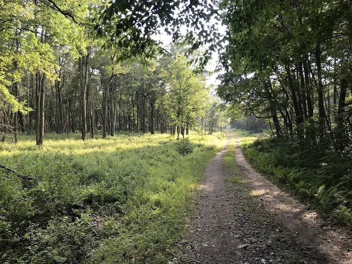 Weiser State Forest Greenland Tract Picture 3