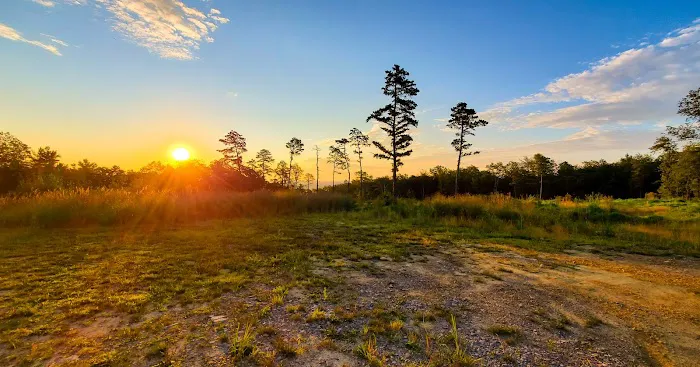 Weiser State Forest Greenland Tract Picture 7