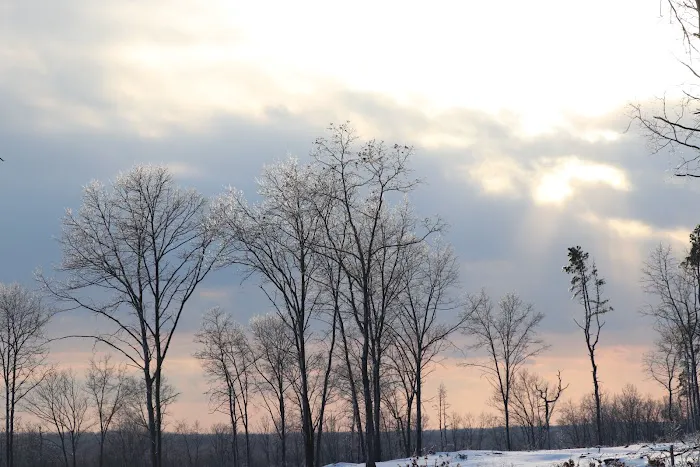 Weiser State Forest Greenland Tract Picture 6