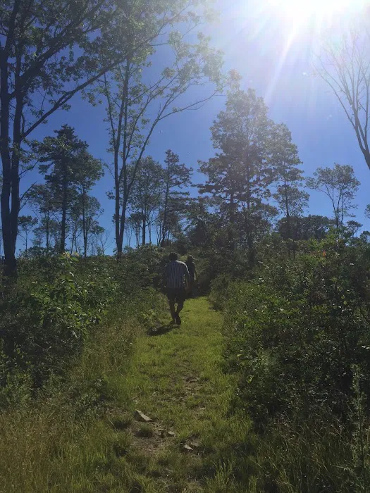 Weiser State Forest Greenland Tract Picture 10
