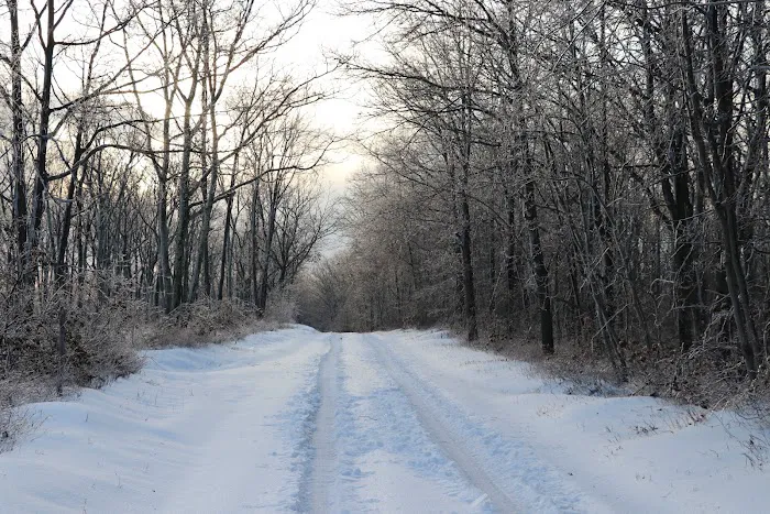 Weiser State Forest Greenland Tract Picture 5