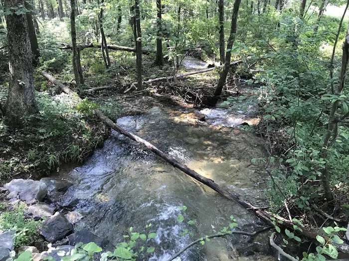 Weiser State Forest Greenland Tract Picture 8